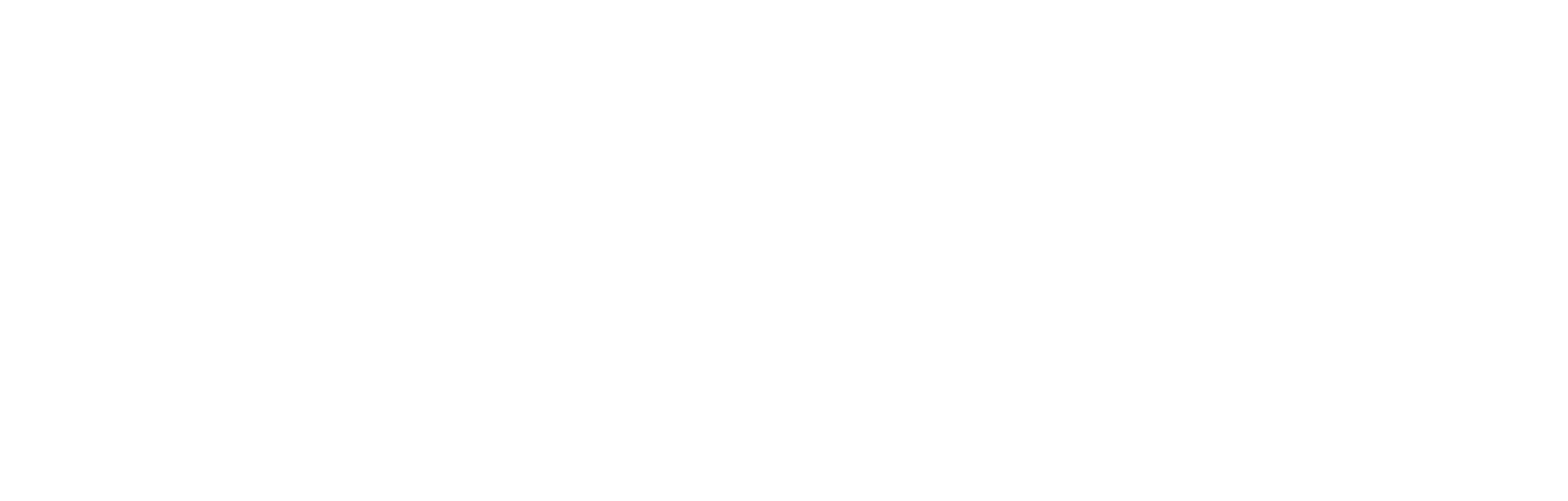 Fiberlinq wordmark