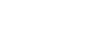 Open Dutch Fiber wordmark